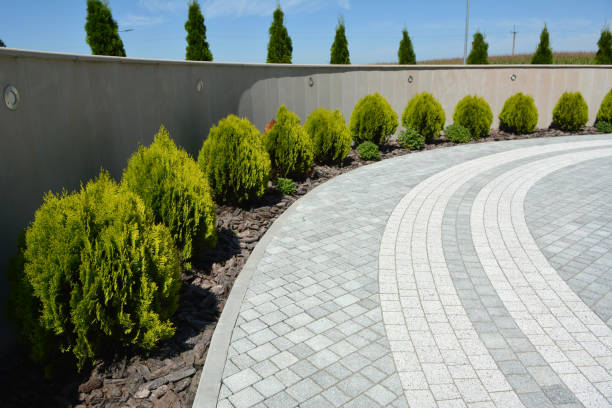 Best Residential Paver Driveway  in Des C, AR